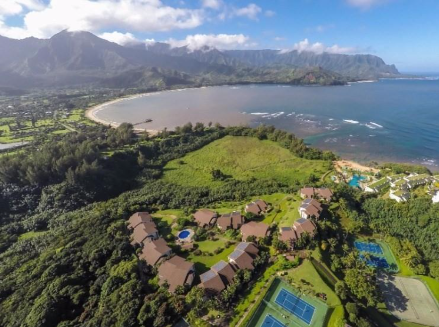 Buying a Condo in Hawaii? New Public Education Video Series Launches 365 Hawaii Living